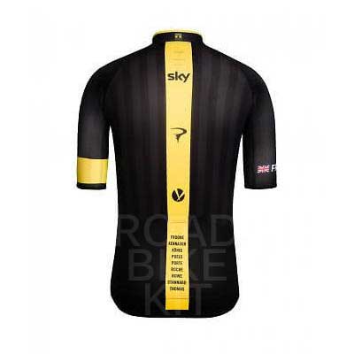 tdf win 2015