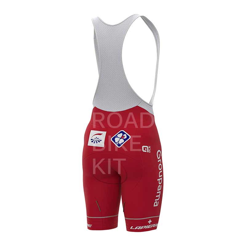 groupama fdj swiss champion bibshorts back 2020