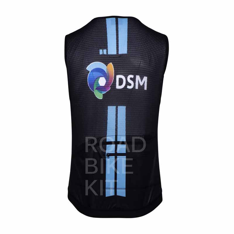 team dsm gilet back 2021